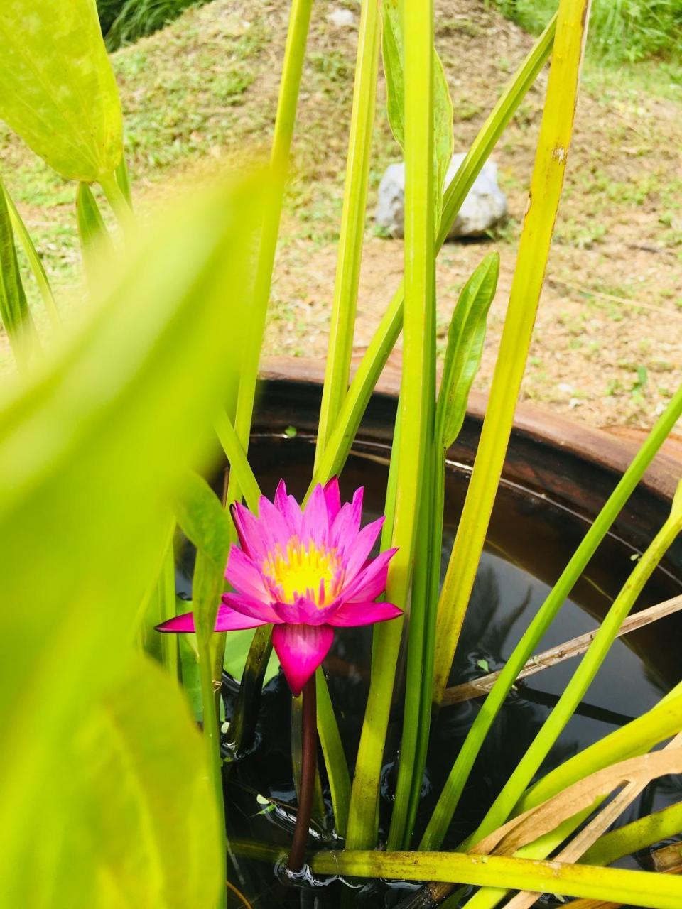 Khao Lak Golden Coconut Resort Exterior foto
